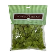 Quality Growers Preserved Reindeer Moss - Premium Decorative Moss for Crafts, Home Décor, Art, Design & DIY Projects - Real Moss - Non-Toxic, USA-Made (Chartreu