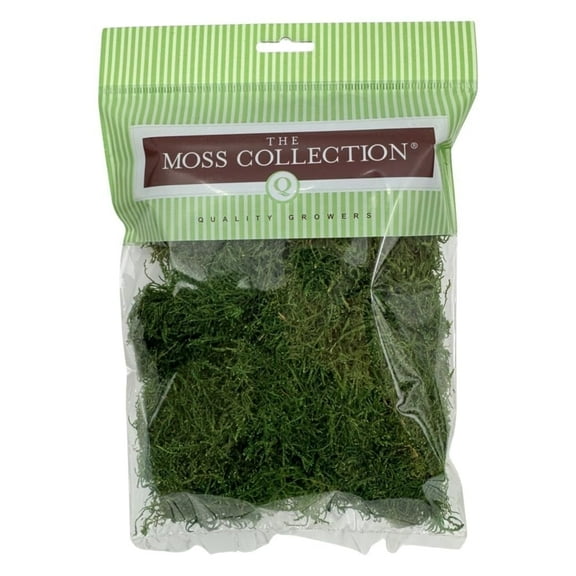 Quality Growers - Preserved Sheet Moss - Natural Decorative Moss - Dried Moss for Crafts, Home Decor, Art, Design & DIY Projects - Non-Toxic - Green - Medium
