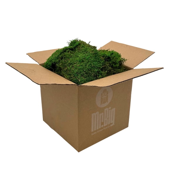 Quality Growers - Preserved Sheet Moss - Natural Decorative Moss - Dried Moss for Crafts, Home Decor, Art, Design & DIY Projects - Non-Toxic - Green - Standard Box - Covers 5-7 sq. ft.