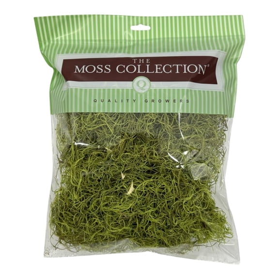 Quality Growers - Preserved Spanish Moss - Decorative Dried Moss for Crafts, Home Decor, Art, Design & DIY Projects - for Indoor Use - Chartreuse - Medium Size