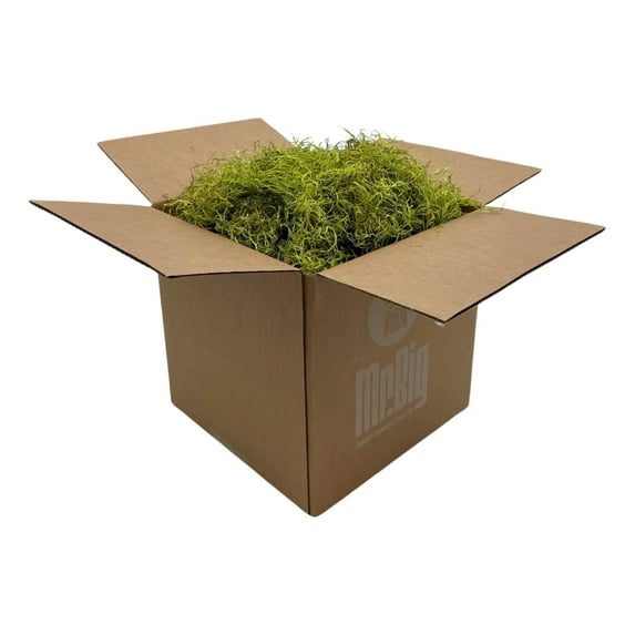 Quality Growers - Preserved Spanish Moss - Decorative Dried Moss for Crafts, Home Decor, Art, Design & DIY Projects - for Indoor Use - Chartreuse - Standard Box - Covers 10-12 sq. ft.