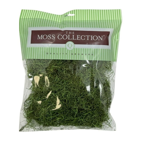 Quality Growers - Preserved Spanish Moss - Decorative Moss - Dried for Crafts, Home Decor, Art, Design & DIY Projects - for Indoor Use - Green Apple - Medium Size