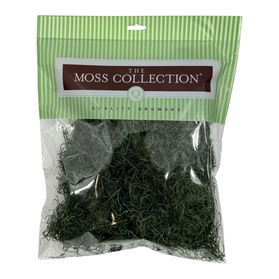 Quality Growers - Preserved Spanish Moss - Decorative Moss - Dried Moss for Crafts, Home Decor, Art, Design & DIY Projects - for Indoor Use - Forest Green - Medium Size