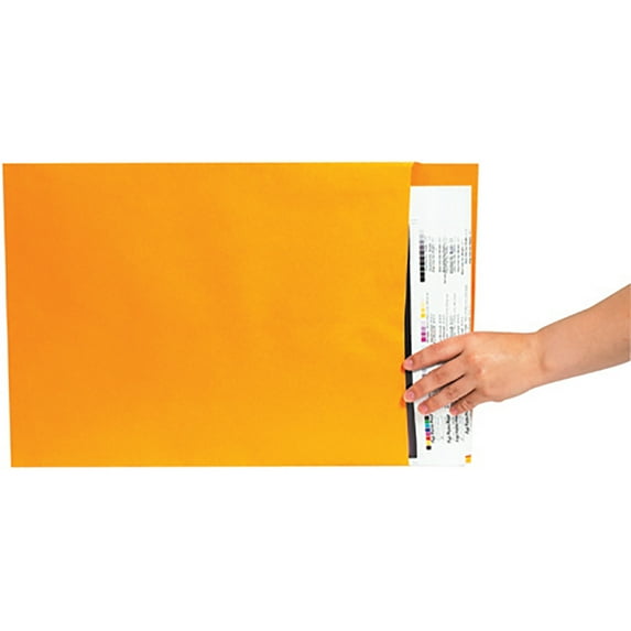 Quality Park Jumbo Size Kraft Envelope, Fold Flap Closure, 14 x 18, Brown Kraft, 25/Pack (42354)