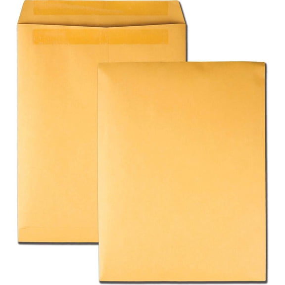 Quality Park Redi Seal Catalog Envelope 10 x 13 Brown Kraft 100/Box 43767