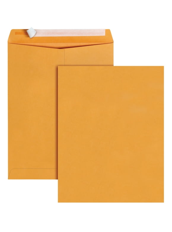 Envelopes by Size in Envelopes