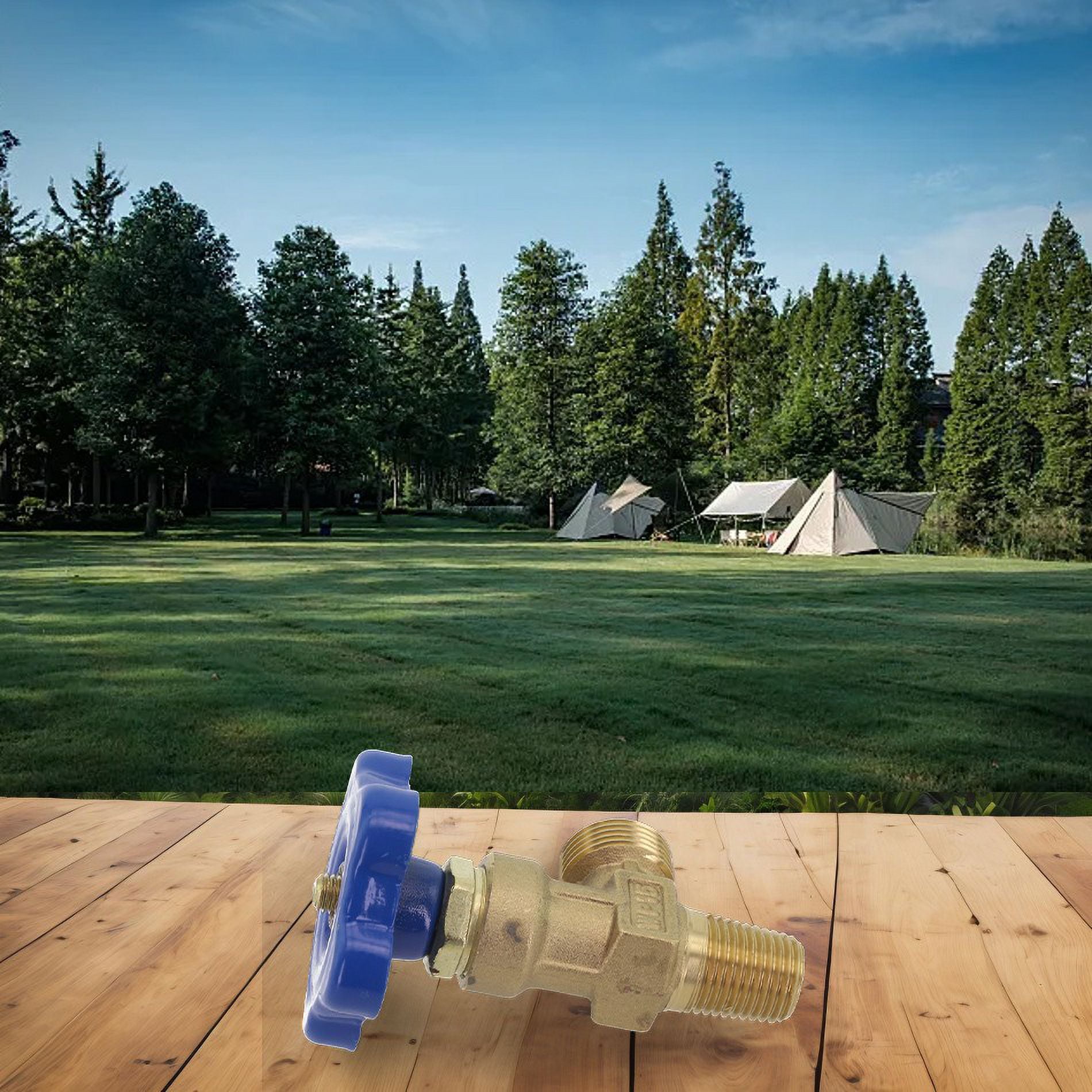 Quality Wp15 Small Argon Gas Cylinder Valve with Copper Head and Steel