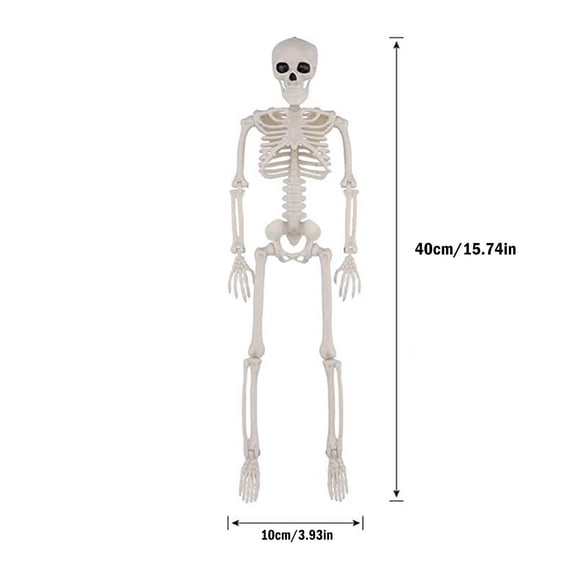 QuanTara Mini Posable Halloween Skeleton