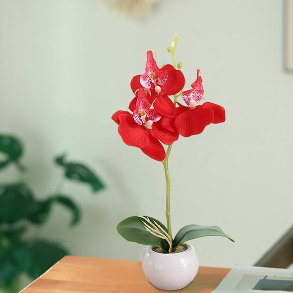 QuanTara Phalaenopsis Artificial Orchid Bonsai in Ceramic Pot, 11in Silk Fake Orchid Plant for Home Desk Decor, Wedding Centerpiece, No Maintenance Housewarming Gift