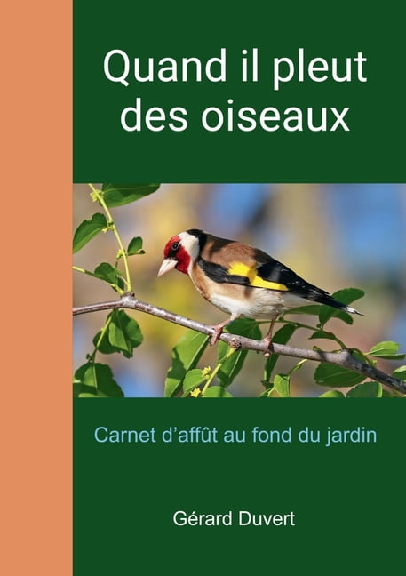 Quand il pleut des oiseaux, (Paperback)