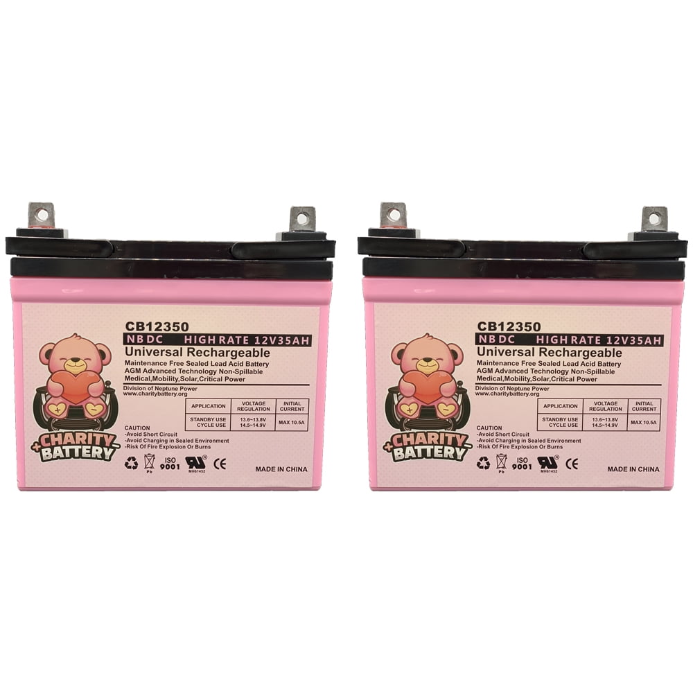 Quantum Rehab DYNAMO 1107 12V 35Ah SLA Battery by Charity Battery - 2 pack