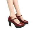 thumbnail image 1 of Quaouag Women's Closed Toe Ankle Buckle Strap Chunky Block Heel Mary Jane Shoes Vintage Round Toe Mary Jane Dress Pumps, 1 of 7