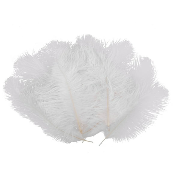 Quaqdae 10 Pieces White Natural Ostrich Feather 20-25cm Wedding DIY