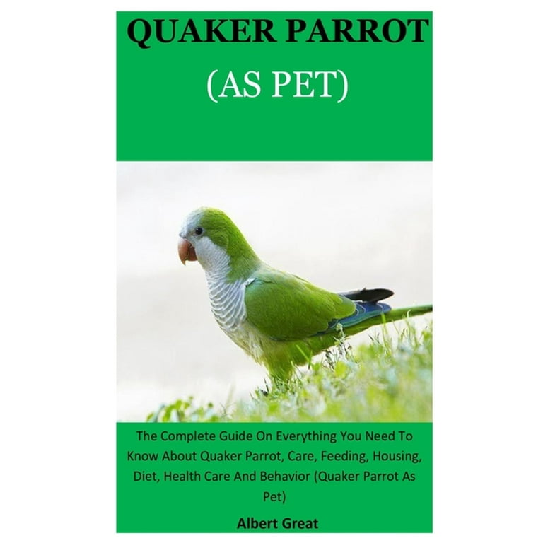 Quaker Parrot The Ultimate Guide to Care and Companionship bubird