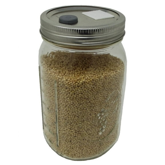 Quart Jar of Sterilized Millet Mushroom Substrate : 1 jar