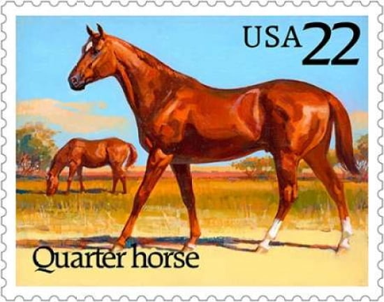Quarter Horse Canvas Art - US POSTAL SERVICE (20 x 24)