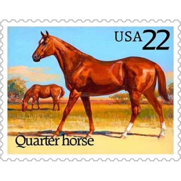 Quarter Horse Canvas Art - US POSTAL SERVICE (20 x 24)