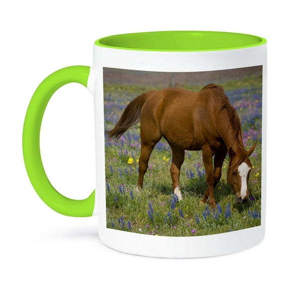3dRose, Quarter Horse in field of wildflowers Devine Texas - US44 DGU0114 - Darrell Gulin, 15oz Two-Tone Green Mug