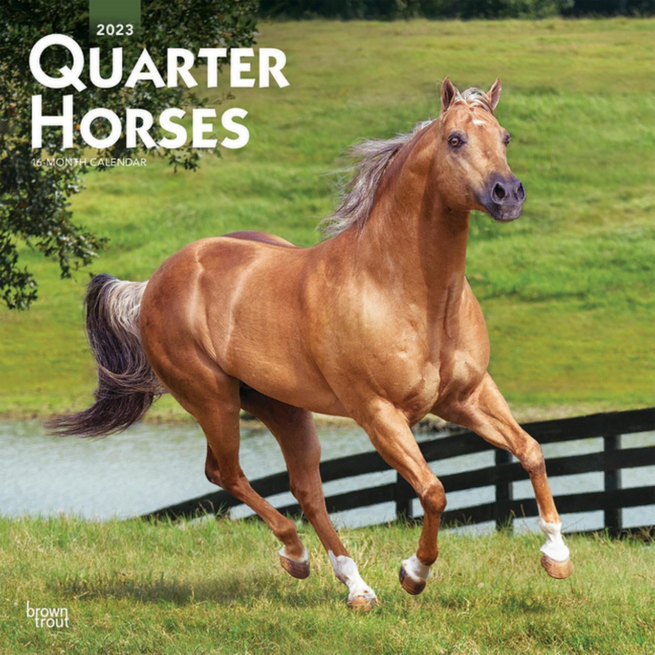 Quarter Horses | 2023 12 x 24 Inch Monthly Square Wall Calendar | BrownTrout | Animals Equestrian, 9781975449063, 1975449061, Paperback, Square Wall 12x12 edition