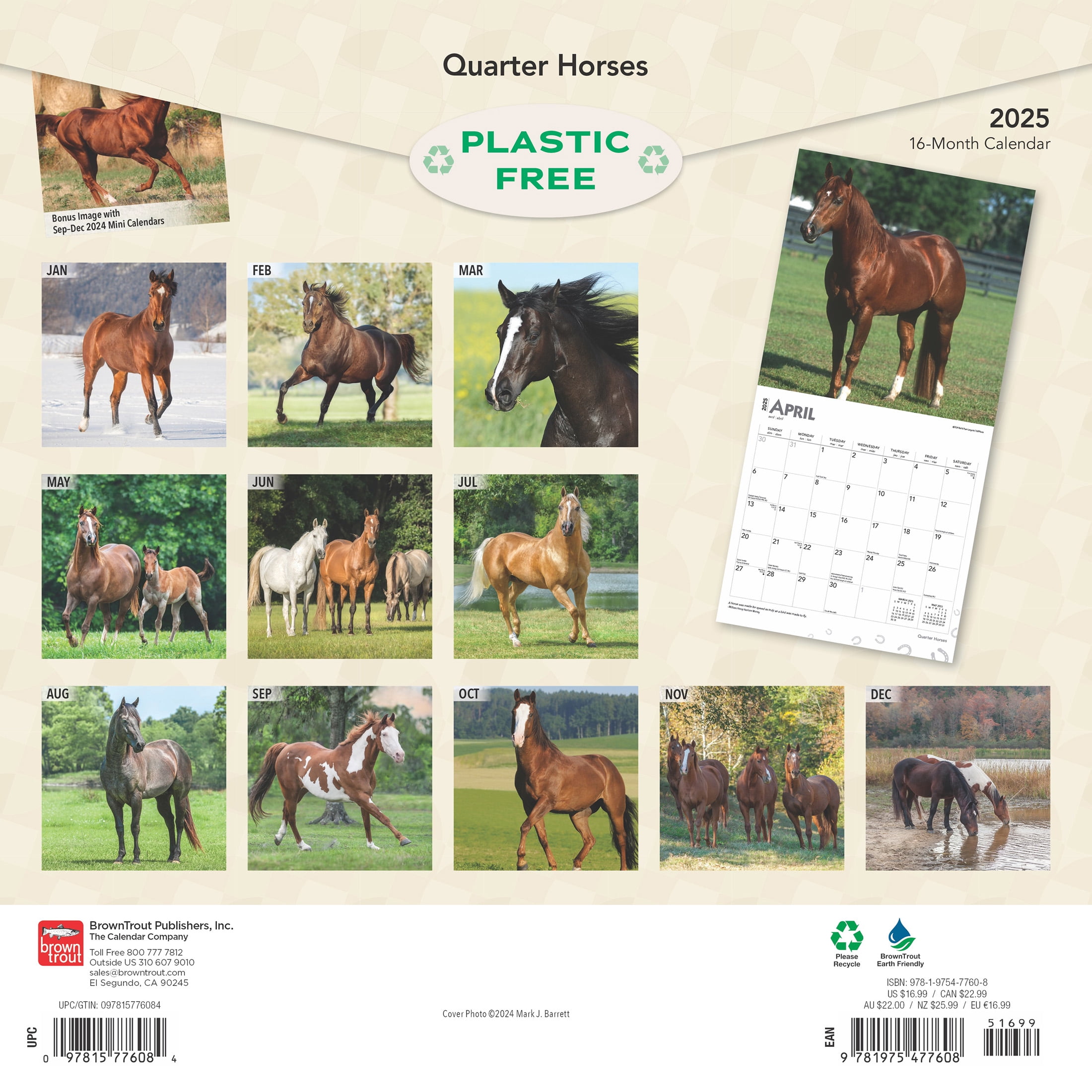 Quarter Horses 2025 12 X 24 Inch Monthly Square Wall Calendar Plastic-Free (Wall)