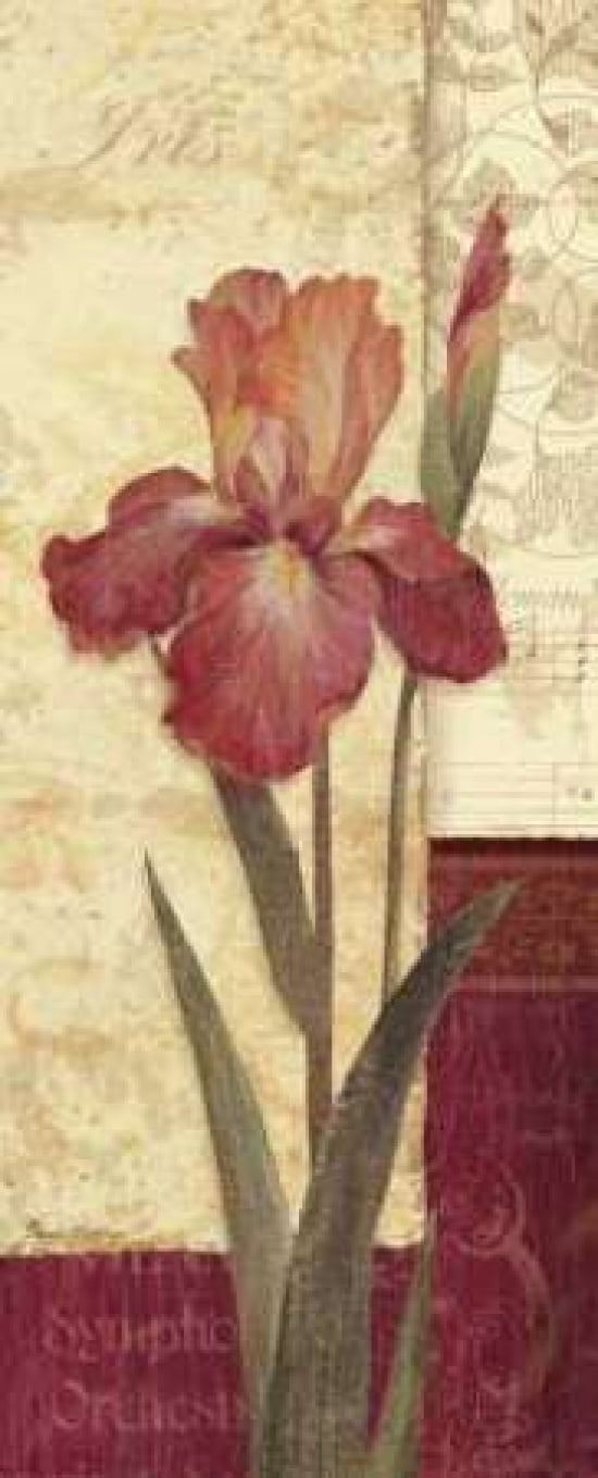 Quattro Sonata II Canvas Art - Pamela Gladding (10 x 20)