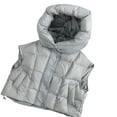 thumbnail image 1 of Chenyin Baby Kids Boys Girls Puffer Hooded Vest Winter Warm Waistcoat Fall Winter Waterproof Unisex down Sleeveless Jacket for Teen 3-14T, 1 of 9