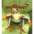 thumbnail image 1 of Pre-Owned ¿Qué Son Los Anfibios? (What Is an Amphibian?) (Paperback) 0778788075 9780778788072, 1 of 1