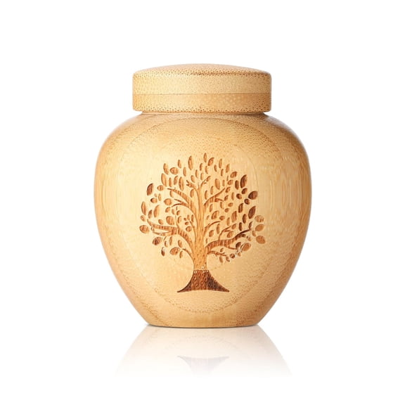 QueMer Memorial Casket Ashes Container Urn Cremation Sympathy for Ashes/Hair Elegant Urn Casket for Women Men