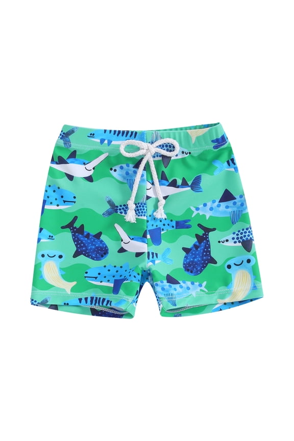 Boys Performance Hybrid Stretch Swim Trunks - Fashion Swim Trunks, UPF 50+, Boy Swim Trunks (1-Green, 2-3 Years)