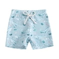 thumbnail image 1 of Quealent Toddler Boys Swim Trunks Quick Dry Boys Swim Shorts with Mesh Liner Beach Toddler Boys Bathing Suit Pink Pineapple 3T (Sky Blue-B, 2-3 Years), 1 of 4