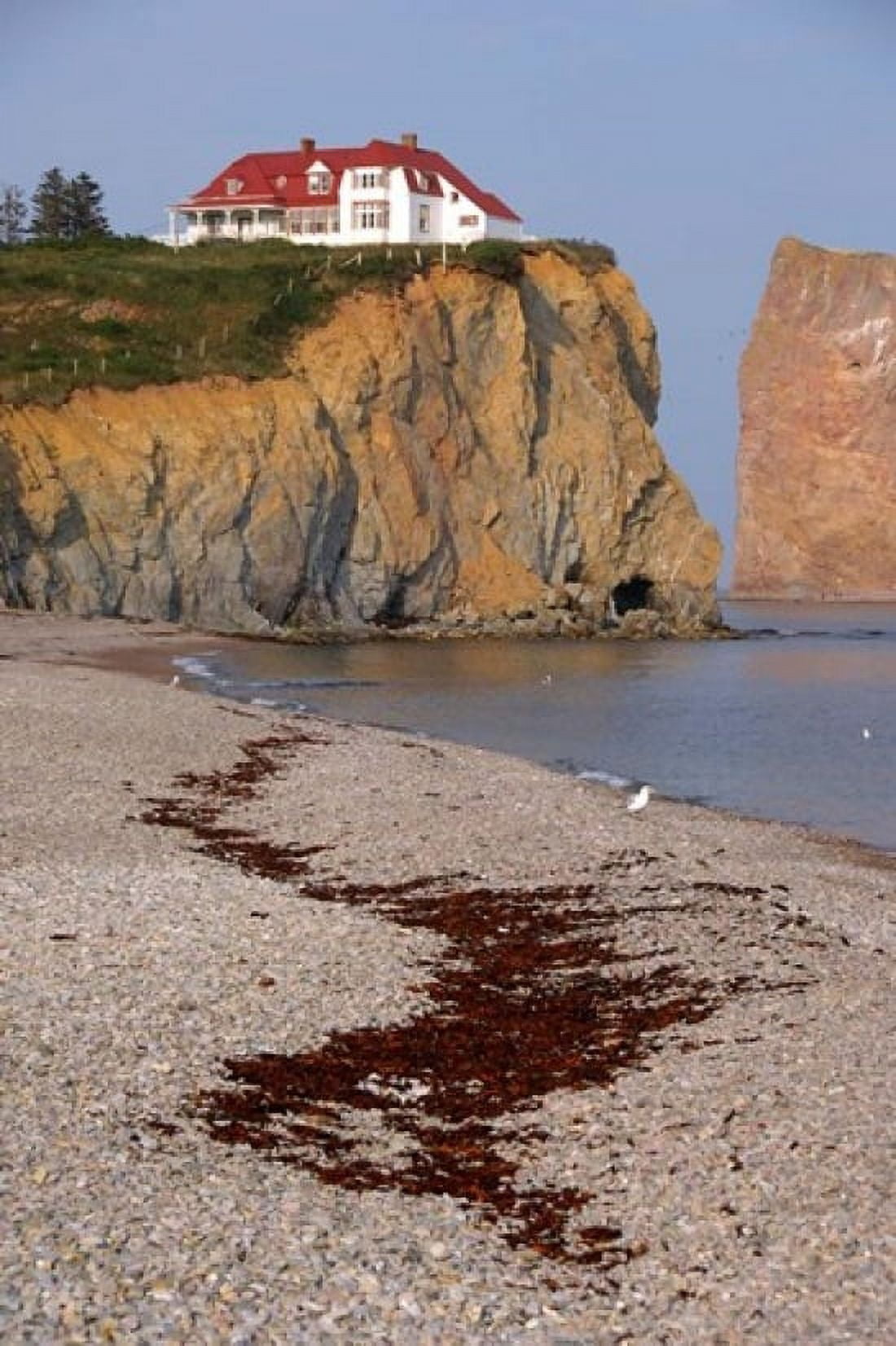 Quebec Beach Cliffs Canvas Art - Cindy Miller Hopkins DanitaDelimont (24 x 36)