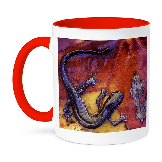 3dRose, Quebec. Blue-spotted salamander lizards-CN10 BJA0023 - Janyes Gallery, 11oz Two-Tone Red Mug