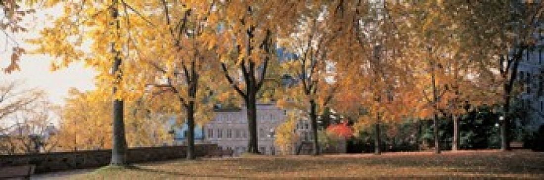 Quebec City Quebec Canada Canvas Art - Panoramic Images (36 x 12)