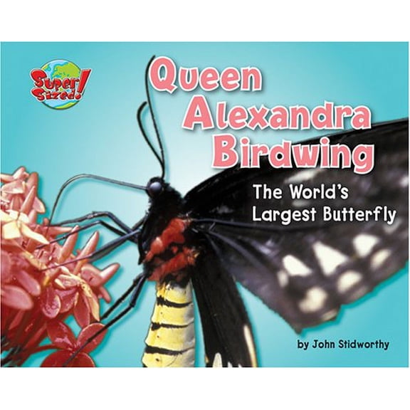 Pre-Owned Queen Alexandra Birdwing: The World's Largest Butterfly (Library Binding) 1597163953 9781597163958