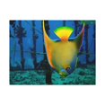 thumbnail image 1 of Queen Angel Fish  Horizontal Angel Fish Wall Art Ready To Hang Unframed, 1 of 18