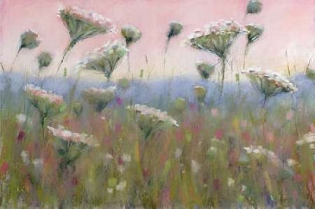 Queen Annes Lace Canvas Art - Karen Margulis (24 x 36)