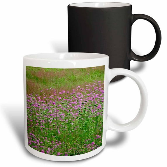 3drose, Queen Annes Lace, Drummond Phlox Flower South Carolina - Us41 Aje0021 - Adam Jones, 11oz Magic Transforming Mug