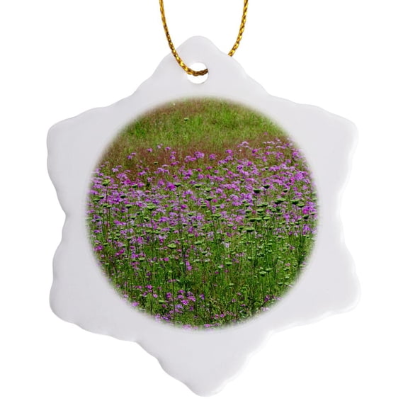 3drose, Queen Annes Lace, Drummond Phlox Flower South Carolina - Us41 Aje0021 - Adam Jones, 3 inch Snowflake Porcelain Ornament
