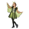 thumbnail image 1 of Queen Bee Child Costume, 1 of 4