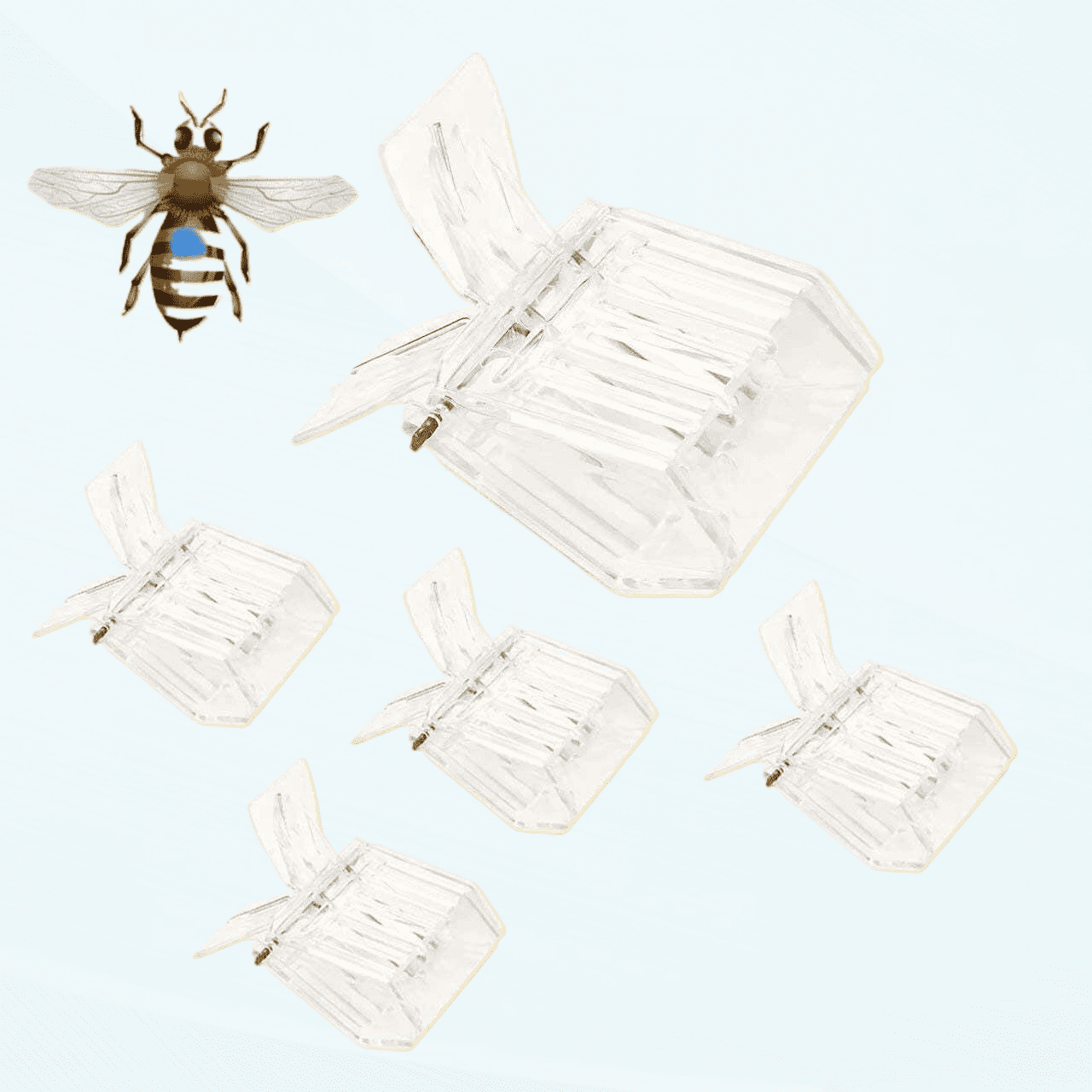 Queen Marker Plastic Cage Bee Catcher Apiculture Apiculteur Outil