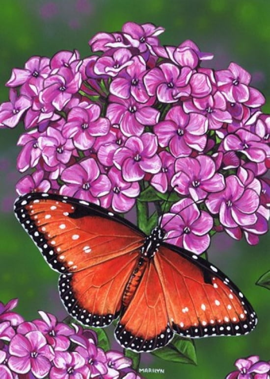 Queen Butterfly Canvas Art - Marilyn Barkhouse (12 x 16)