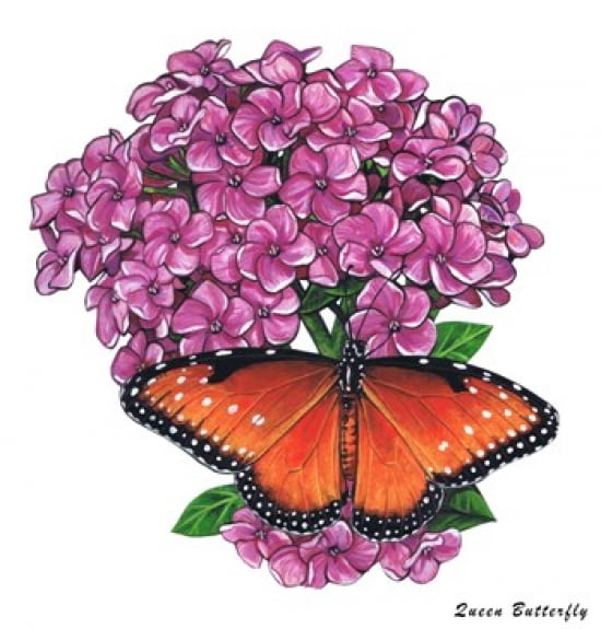 Queen Butterfly II Canvas Art - Marilyn Barkhouse (18 x 19)