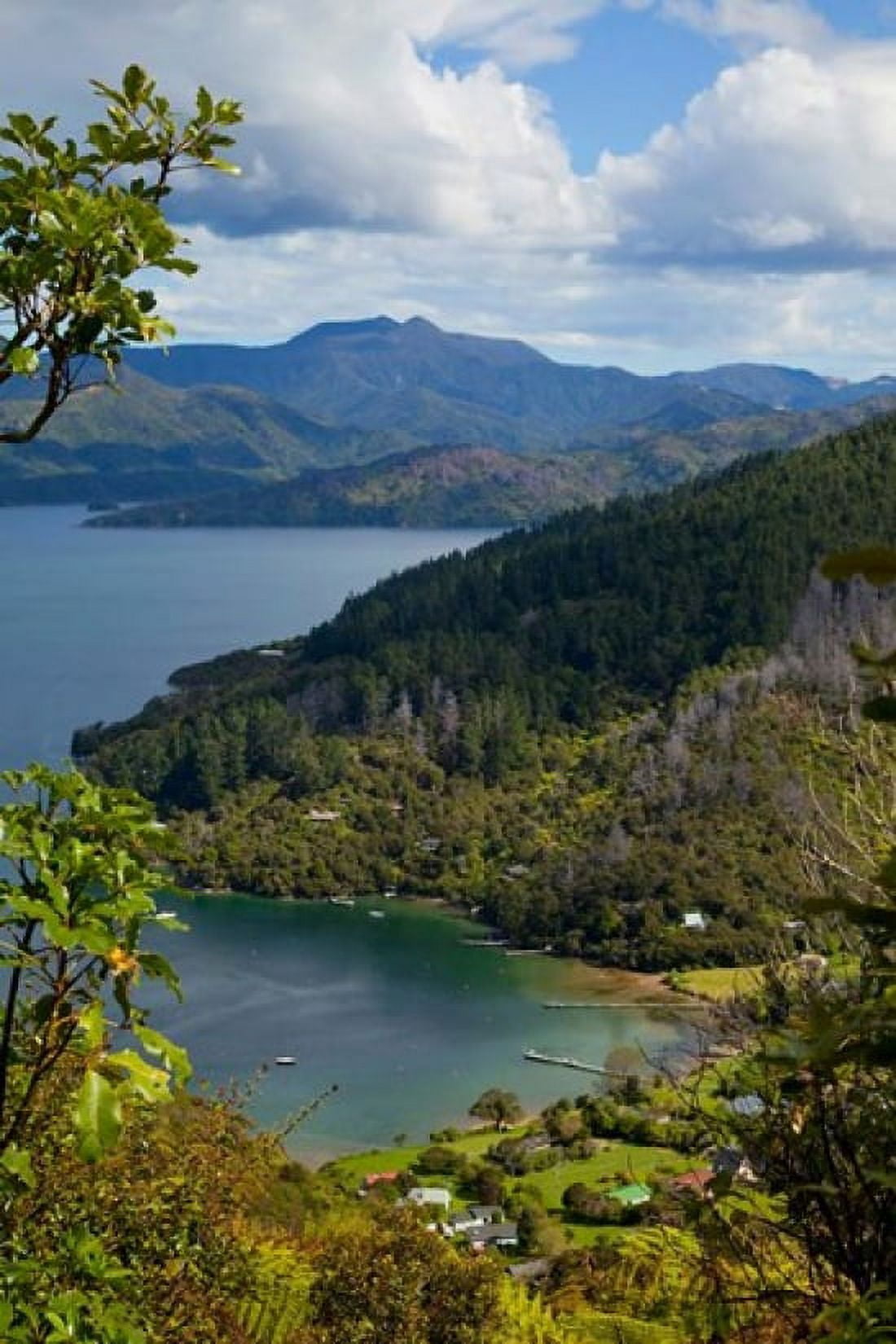Queen Charlotte Track Marlborough Sounds South Island New Zealand Canvas Art - Douglas Peebles DanitaDelimont (19 x 29)