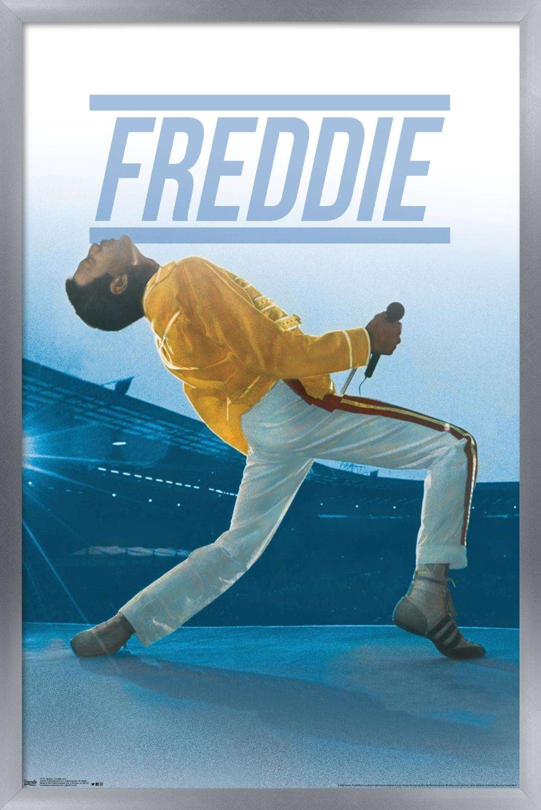 Queen - Freddie Mercury Live Wall Poster, 14.725" x 22.375", Framed