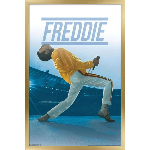 Queen - Freddie Mercury Live Wall Poster, 14.725" x 22.375", Framed