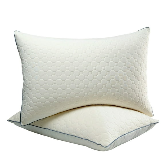 Queen Latex Layer Bed Pillows Set of 2 for Side, Back, and Stomach Sleepers, 20" x 30", White