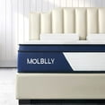 Queen Mattress 10 Inch Hybrid Mattress with Gel Memory Foam Motion Isolation Individually