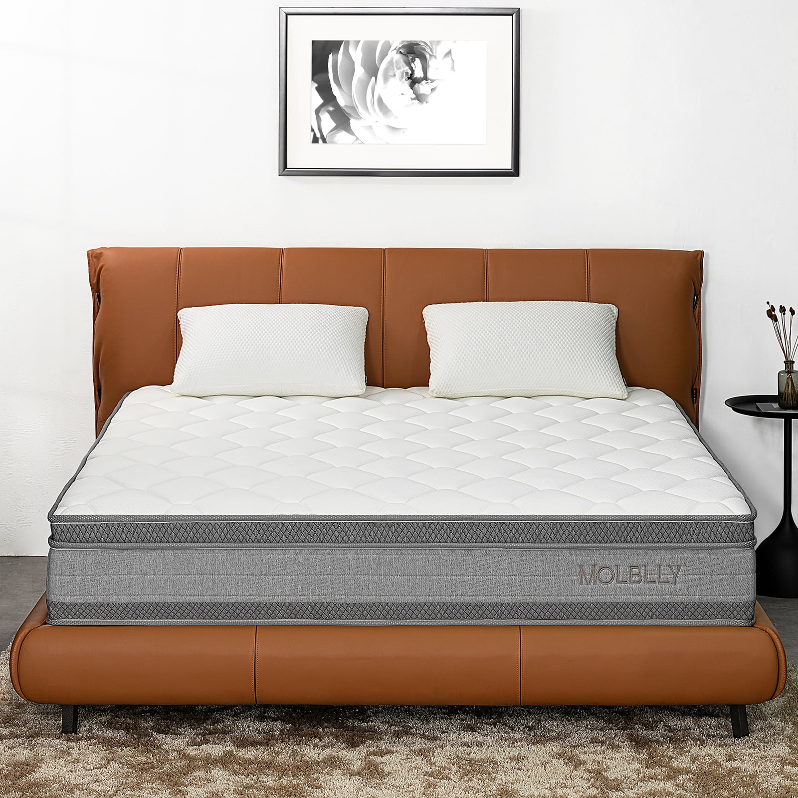 Queen Mattress, Molblly 14" Hybrid Gel Memory Foam Individually Pocket