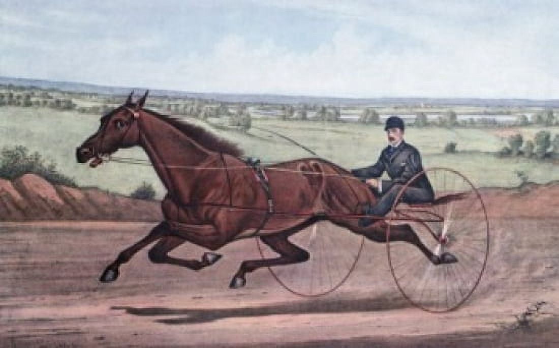 Queen Of The Turf Maud S Driven By WW Bair 1880 Currier & Ives (1834-1907 American) Lithograph Canvas Art - Currier & Ives (18 x 24)