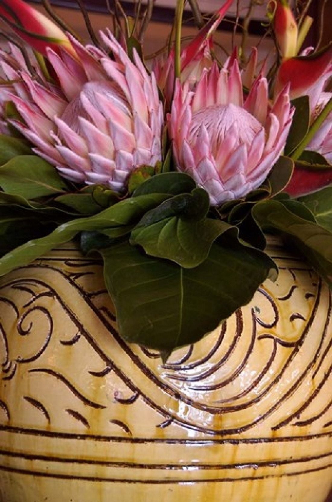 Queen Protea and Heliconia Umhlanga Rocks Durban Kwazulu Natal South Africa Canvas Art - Lisa S Engelbrecht DanitaDelimont (12 x 17)